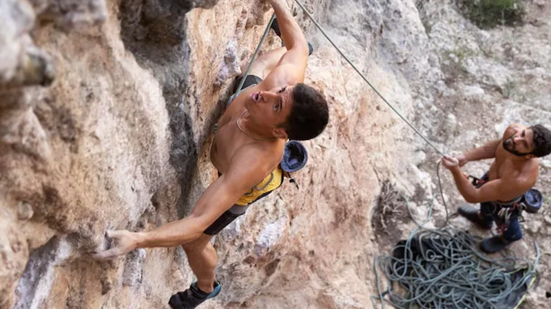 About Us Sections Values N2