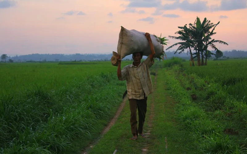 Consulting Services 800X500 Market Entry 01