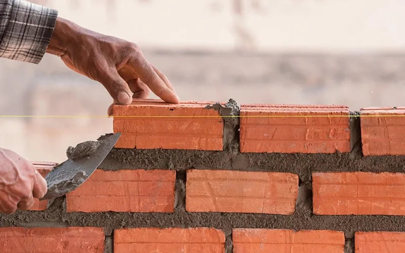 Consulting Services_organization Dev01