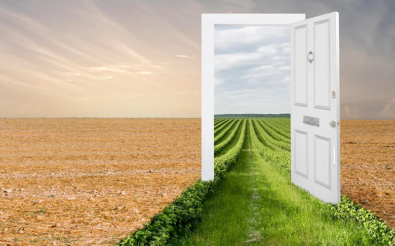 Consulting Services Incubation Advisory